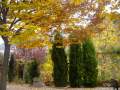 otoño en la terraza