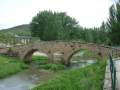 Puente romanico en primavera